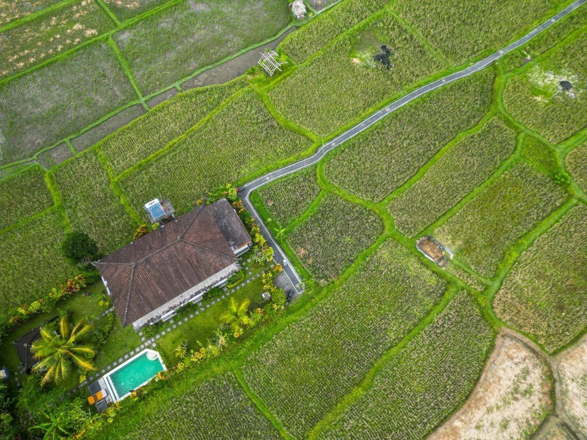 Buddha Homestay ウブド エクステリア 写真
