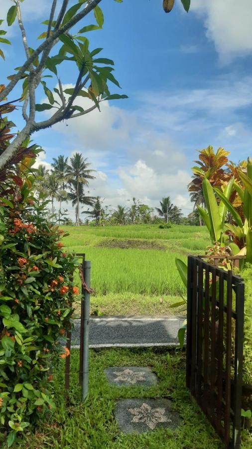 Buddha Homestay ウブド エクステリア 写真